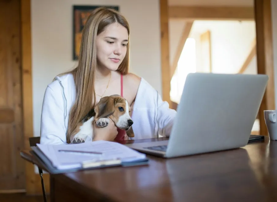 Femme sur un ordinateur avec un chiot