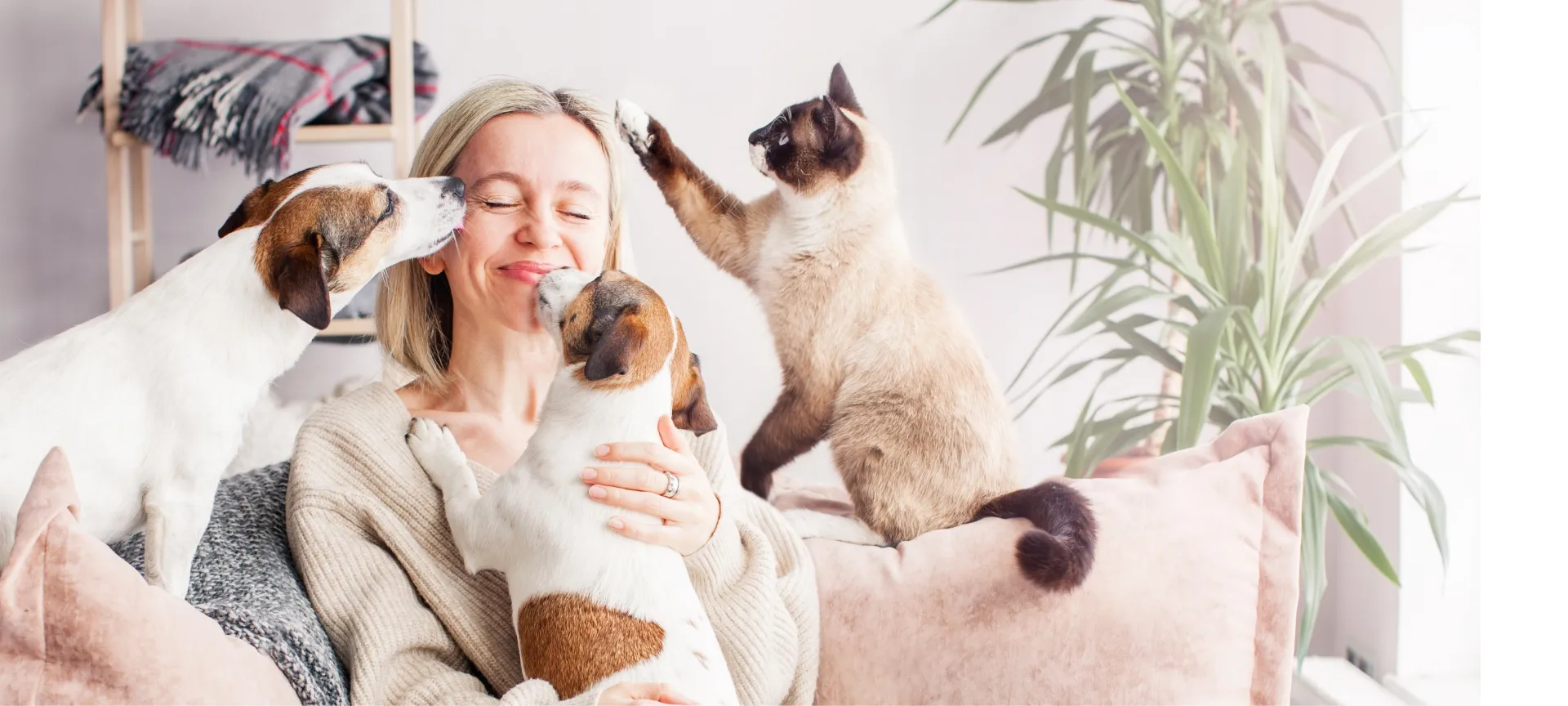 Femme en compagnie de deux chiens et un chat