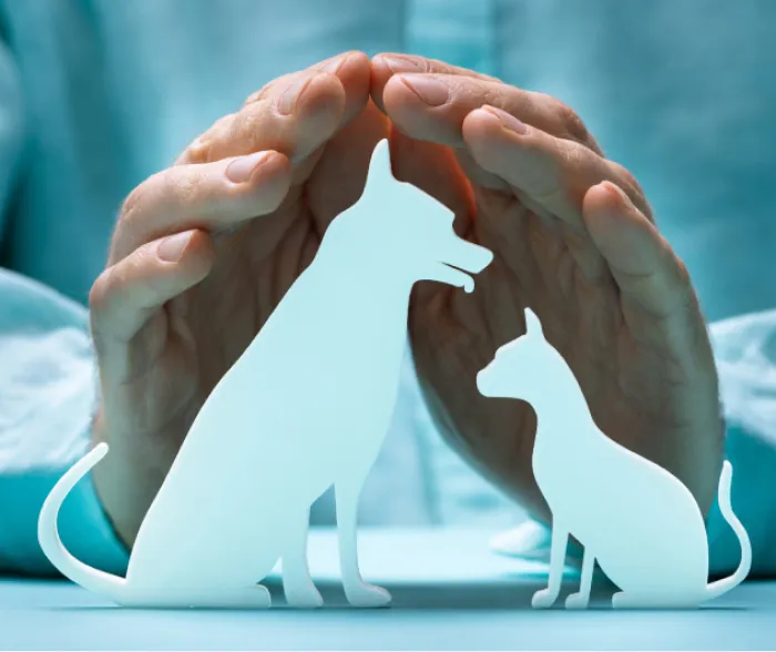 Assurance prévoyance santé chien et chat