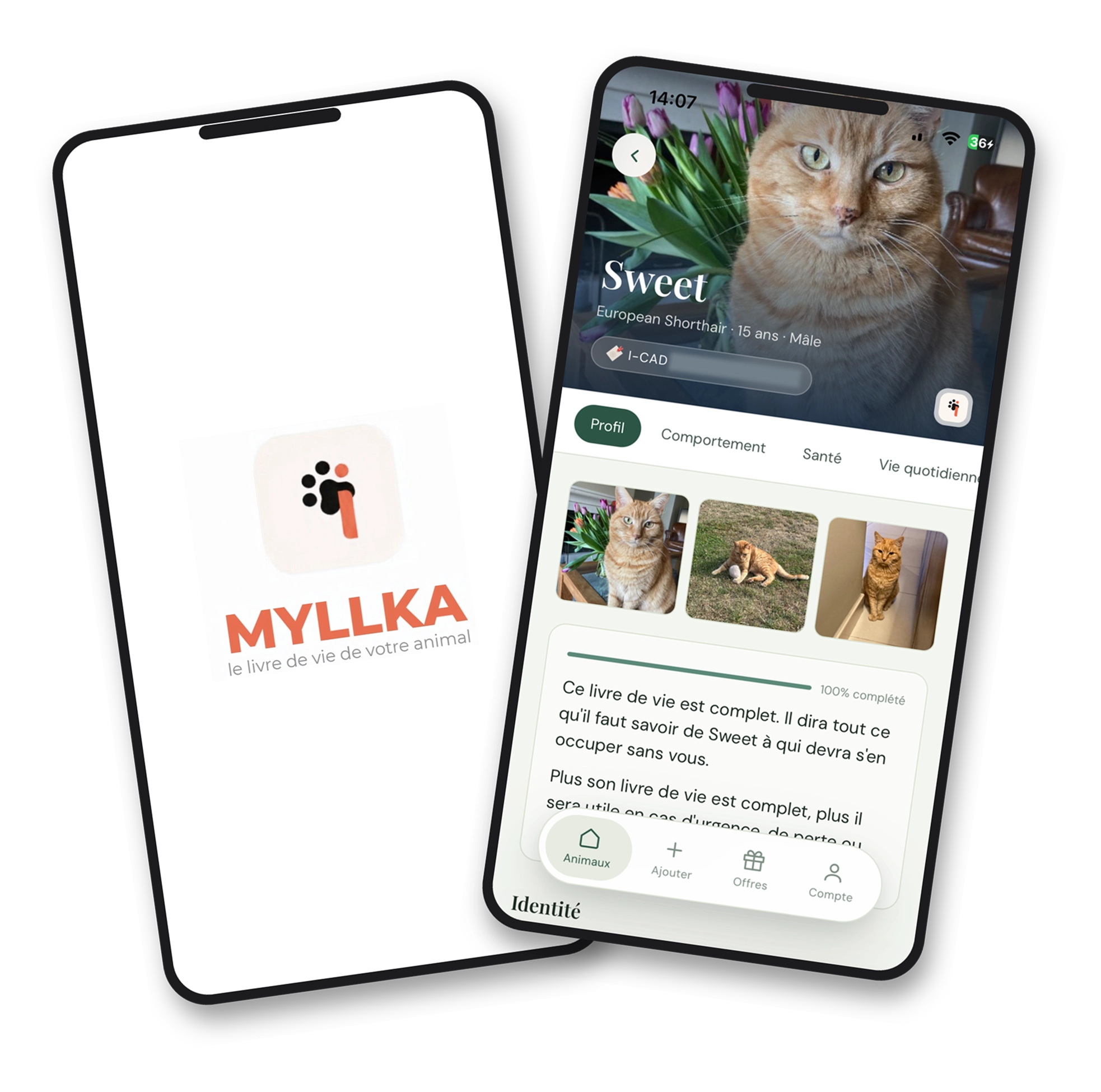 Application MYLLKA sur deux smartphones