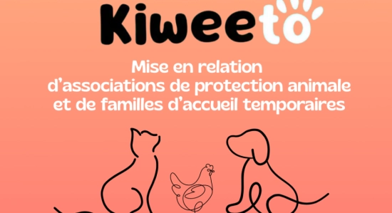 Trouver des familles d’accueil temporaires pour les animaux en attente d’un foyer - Instinct Protection