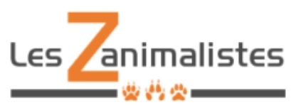 Logo Les Zanimalistes (Hauts de France) - Association Loi 1901