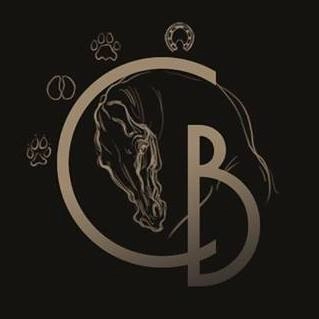 Logo Célia Beauvilain - Ostéopathe (Hauts de France et Belgique)