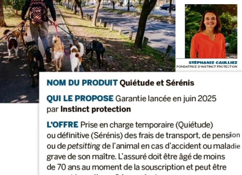 L’Argus de l’Assurance - Stéphanie Caulliez